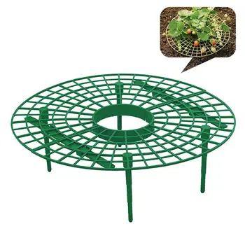 6pcs Plant Plastic Tool Strawberry stand Growing Circle Support Rack Farming Improve Harvest Frame Lightweight Removable
6pcs Plant Plastic Tool Strawberry stand Growing Circle Support Rack Farming Improve Harvest Frame Lightweight Removable