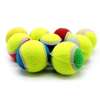 16PCS Soft Rubber Tennis Balls Toy Small Dogs Pets Chasing Training Toy N58C
16PCS Soft Rubber Tennis Balls Toy Small Dogs Pets Chasing Training Toy N58C