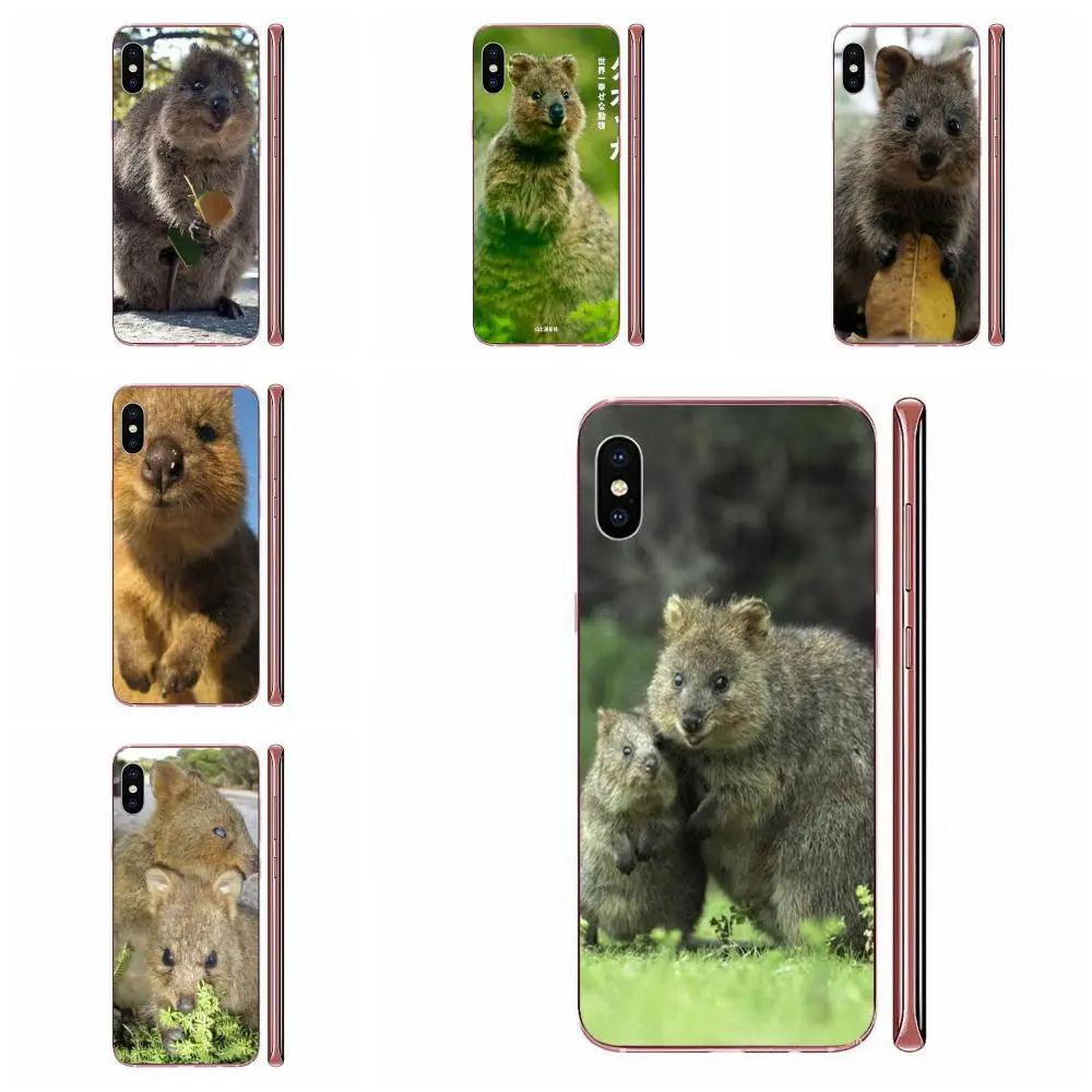 Мягкий чехол для телефона из ТПУ с изображением животных Quokka Xiaomi CC9E Mi3 Mi4 Mi4i Mi5 Mi 5S 6