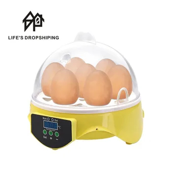 Automatic Mini 7 Eggs Hatchery machine Poultry Brooder Digital Temperature Humidity Control Cheap Price Egg Incubator Child
Automatic Mini 7 Eggs Hatchery machine Poultry Brooder Digital Temperature Humidity Control Cheap Price Egg Incubator Child