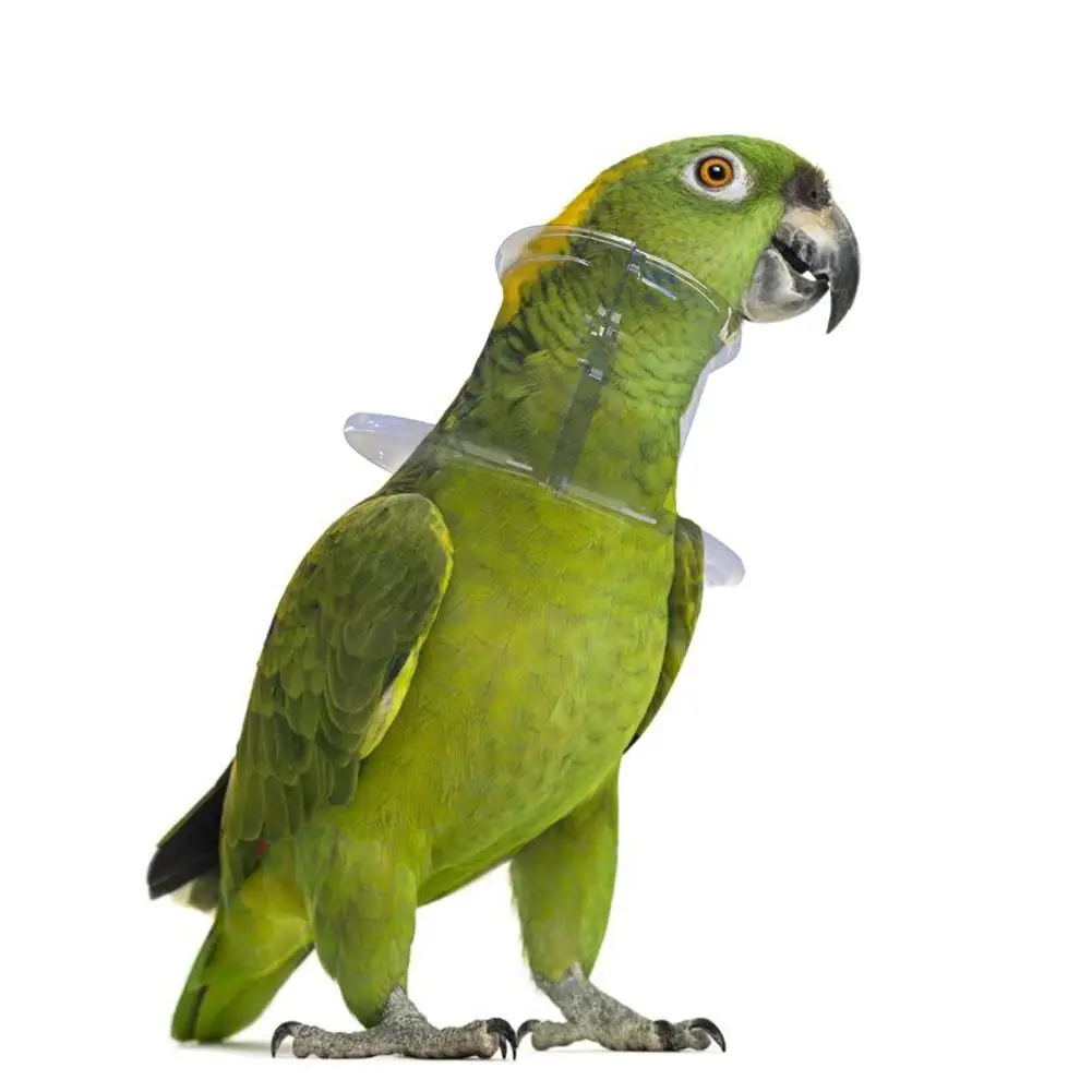 Bird Protective Bead Parrot Collar Anti Feather Picking Ring Anti-Plucking Anti-Grab Elizabethan Collar for Rodents Birds 20E
Bird Protective Bead Parrot Collar Anti Feather Picking Ring Anti-Plucking Anti-Grab Elizabethan Collar for Rodents Birds 20E