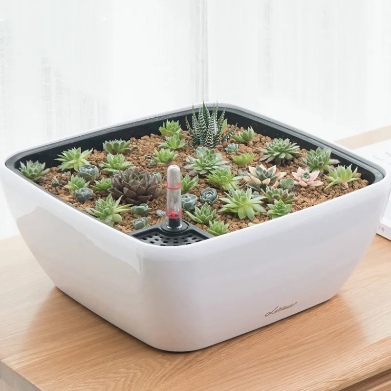 Large-caliber succulent green sill flower pots self-absorbent square round plastic non-watering lazy desktop flower pot LB728032
Large-caliber succulent green sill flower pots self-absorbent square round plastic non-watering lazy desktop flower pot LB728032