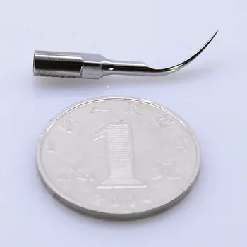 Pet Ultrasonic Cleaner Work Tip G1+G2 Tooth Stone Stone Tooth Washing Machine Work Tip General
Pet Ultrasonic Cleaner Work Tip G1+G2 Tooth Stone Stone Tooth Washing Machine Work Tip General