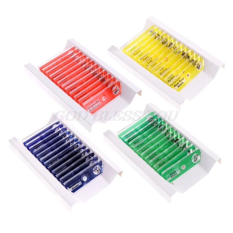 12PCS Prepared Microscope Slides Set Specimen For Student Basic Biology Education
12PCS Prepared Microscope Slides Set Specimen For Student Basic Biology Education