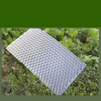 Seedling Tray For Garden 434 Holes Rice Plant Grow Organic Nursery Pots Multi-Function Plant Propagation Planting Seedling Tray
Seedling Tray For Garden 434 Holes Rice Plant Grow Organic Nursery Pots Multi-Function Plant Propagation Planting Seedling Tray