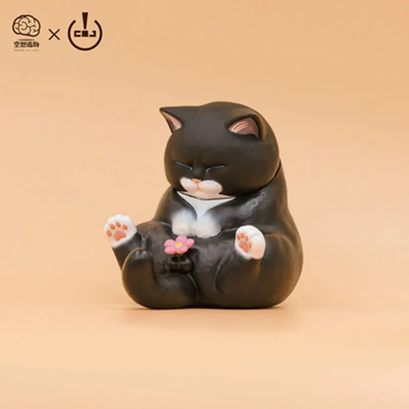 MDD005-选-黑猫