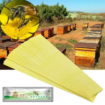 20Pcs/Bag Strips Fluvalinate Bee Mite Killer Treatment Tool Beekeeping Pest Control For Drop Shipping Garden Beekeeping Tools
20Pcs/Bag Strips Fluvalinate Bee Mite Killer Treatment Tool Beekeeping Pest Control For Drop Shipping Garden Beekeeping Tools