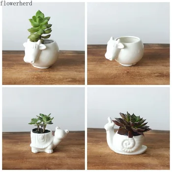Ceramic Succulent Flower Pots White Porcelain Succulent Plants Flower Pots Plant Pots Succulents Pot Gift Ideas Ceramic Planter
Ceramic Succulent Flower Pots White Porcelain Succulent Plants Flower Pots Plant Pots Succulents Pot Gift Ideas Ceramic Planter