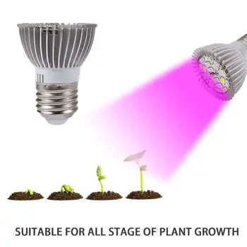 Lamp Bead 85-265V Silver White Plants Growth Light Seeding Breeding Planting Lighting Fixture High Brightness Greenhouse Supply
Lamp Bead 85-265V Silver White Plants Growth Light Seeding Breeding Planting Lighting Fixture High Brightness Greenhouse Supply