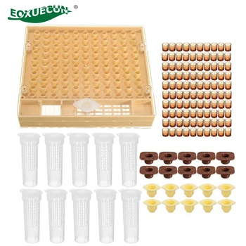 Beekeeping Cup Kit Cell Cups Bee Tool Set Queen Rearing System Bee Complete Catcher Cage Apiculture Helper for The Beekeeper
Beekeeping Cup Kit Cell Cups Bee Tool Set Queen Rearing System Bee Complete Catcher Cage Apiculture Helper for The Beekeeper