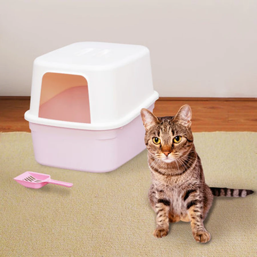 Large Wc Box Toilet Cat Litter Box Closed Pet Accessories Training Kit Detachable Bedpan Small Medium Sandbox Kattenbak B80
Large Wc Box Toilet Cat Litter Box Closed Pet Accessories Training Kit Detachable Bedpan Small Medium Sandbox Kattenbak B80