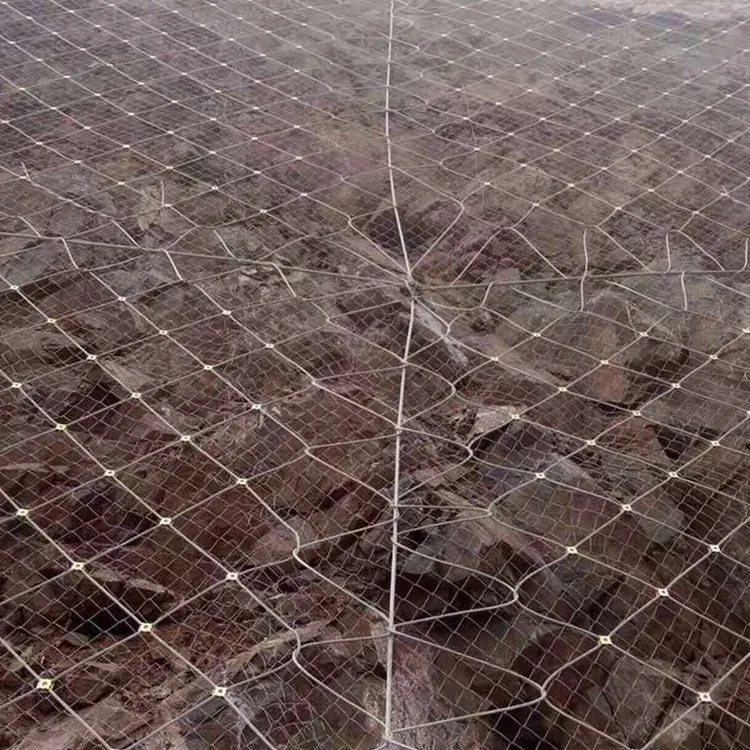 Manufacturers Direct Selling Slope Protect SNS Type Active Protective Mesh GPS-Shaped Flexible Slope Protection Net Safety Net
Manufacturers Direct Selling Slope Protect SNS Type Active Protective Mesh GPS-Shaped Flexible Slope Protection Net Safety Net