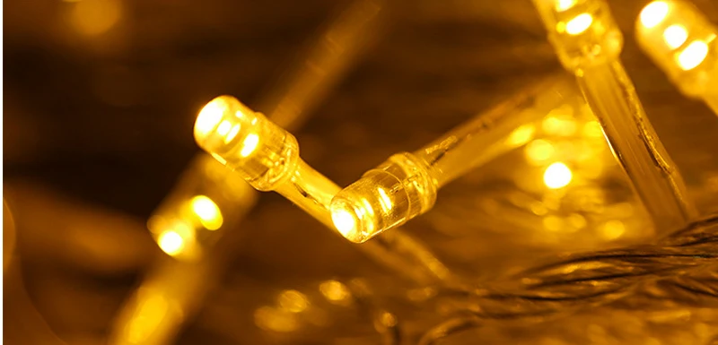 10m 100 led christmas string light Waterproof EU plug (14)