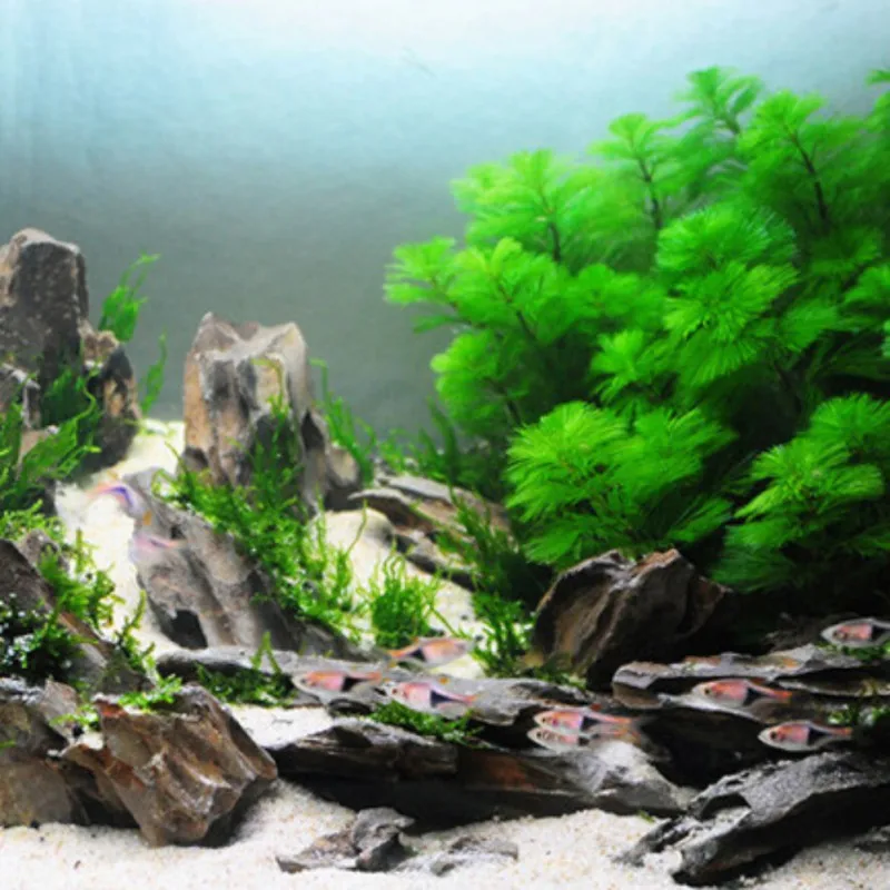Аквариумный Ландшафтный мох шарик клей карандаш водная трава аквариумное