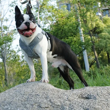 New Dog Harness Easy On and Off Adjustable Medium Large Dogs,Reflective no Pull Training Vest for pet Dogs walking harness
New Dog Harness Easy On and Off Adjustable Medium Large Dogs,Reflective no Pull Training Vest for pet Dogs walking harness
