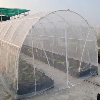 High-density polyethylene 60mesh anti bird net Insect net trap Pest Control Used for orchard vegetable garden ect
High-density polyethylene 60mesh anti bird net Insect net trap Pest Control Used for orchard vegetable garden ect