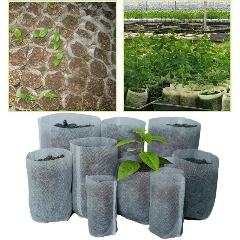 100pcs/set two Size Biodegradable Non-woven Nursery Bags Plant Grow Bag Fabric Seedling Pots Eco-Friendly Aeration Planting Bags
100pcs/set two Size Biodegradable Non-woven Nursery Bags Plant Grow Bag Fabric Seedling Pots Eco-Friendly Aeration Planting Bags