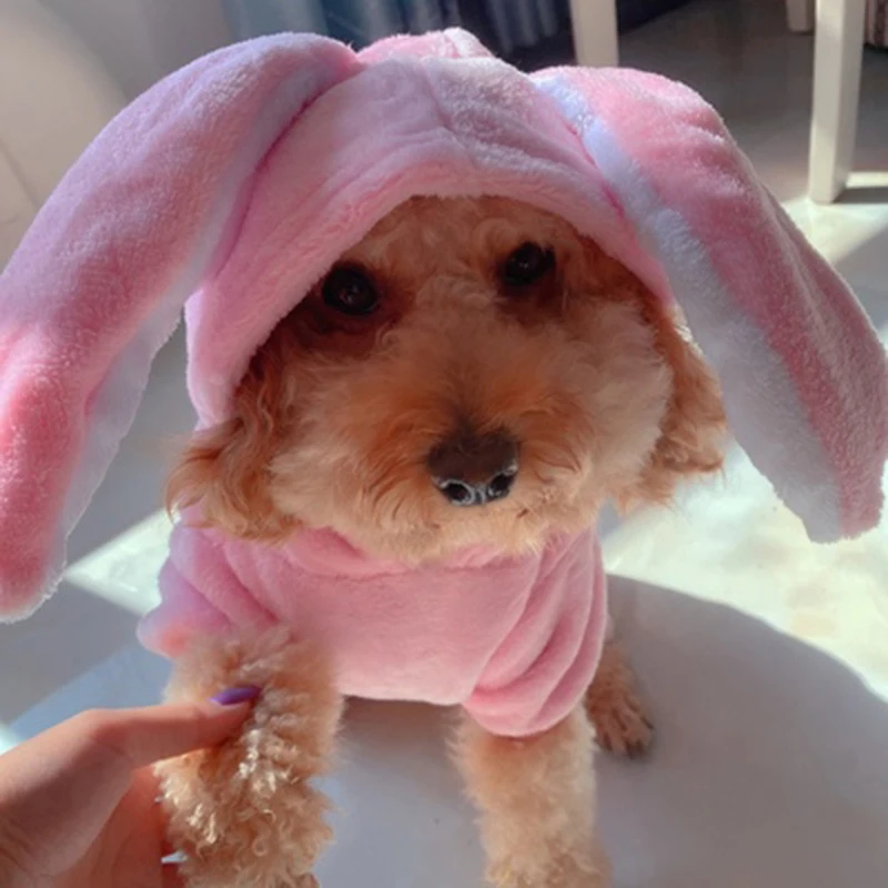 Fleece Dog Jumpsuit Winter Pet Dog Clothes for Dog Christmas Costume Rabbit Cat Pet Cosplay Clothes Chihuahua Yorkshire Clothing
Fleece Dog Jumpsuit Winter Pet Dog Clothes for Dog Christmas Costume Rabbit Cat Pet Cosplay Clothes Chihuahua Yorkshire Clothing