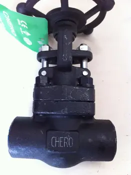 ZY A105 Forged Gate Valve SW Socket Weld Class800 Bolted Bonnet Gate valve
ZY A105 Forged Gate Valve SW Socket Weld Class800 Bolted Bonnet Gate valve