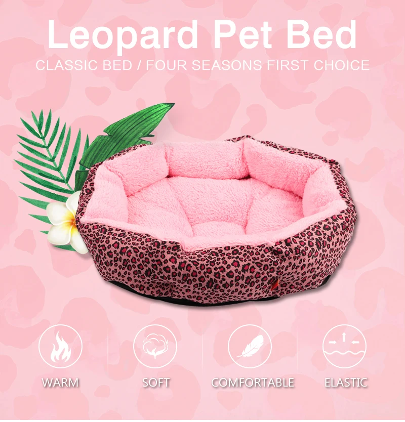 1 cat bed