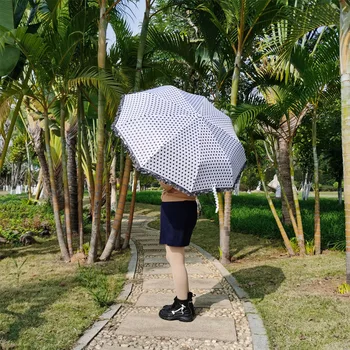 Full Automatic Women Rain Umbrella 3folding 23"9K Waterproof Outdoor Paraguas Strong Frame Windproof Big Зонтик with Lace Edge
Full Automatic Women Rain Umbrella 3folding 23"9K Waterproof Outdoor Paraguas Strong Frame Windproof Big Зонтик with Lace Edge