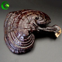 Gannoderma Liucium Lingzhi Lucid,Wild Reishi Ganoderma Mushroom Organic Reishi Mushroom,Ganoderma Mushroom Powder 
Gannoderma Liucium Lingzhi Lucid,Wild Reishi Ganoderma Mushroom Organic Reishi Mushroom,Ganoderma Mushroom Powder