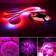 5 medidor de Luz Crescimento Da Planta Planta Cola Tira Conduzida Macia Uso de Luz 150W Para Plantas de Interior Luz de Preenchimento E vegetais com efeito de estufa(China)