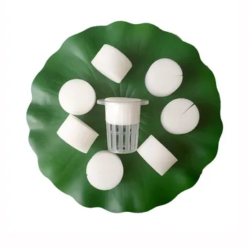White Mesh Pot Net Cup Basket Hydroponic Systems 10Pcs Sponge Net Cup Soilless Planter Vegetables Nursery Pots Plant Growing
White Mesh Pot Net Cup Basket Hydroponic Systems 10Pcs Sponge Net Cup Soilless Planter Vegetables Nursery Pots Plant Growing