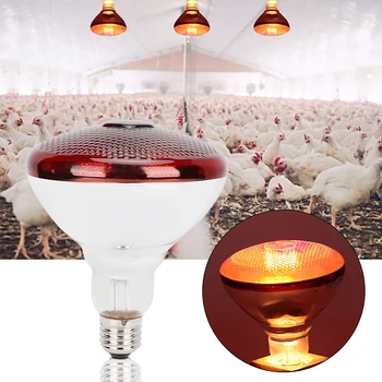 E27 Preservation Heat Thermal Lamp Bulb Infrared Ray Hatch Light Bulb for Pig Chicken Animal Poultry Wave Farm
E27 Preservation Heat Thermal Lamp Bulb Infrared Ray Hatch Light Bulb for Pig Chicken Animal Poultry Wave Farm