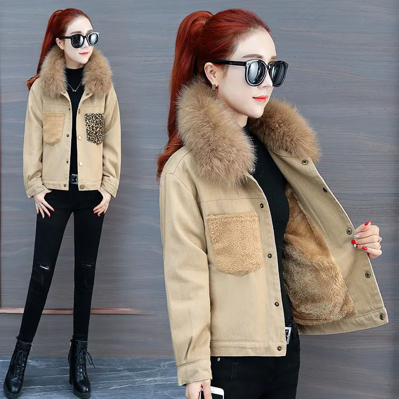 French Small Coat Women's Versatile Autumn & Winter 2019 New Style Late Autumn plus Velvet Jacket INS Tops BF Short-height
French Small Coat Women's Versatile Autumn & Winter 2019 New Style Late Autumn plus Velvet Jacket INS Tops BF Short-height