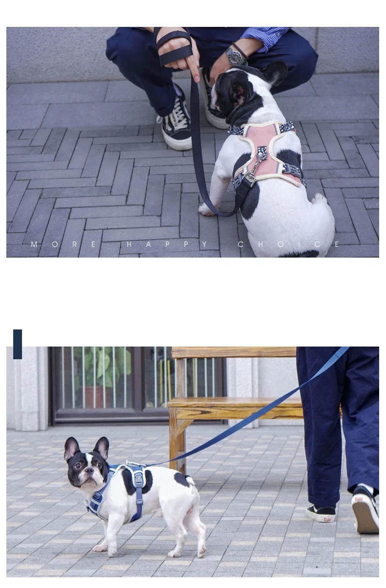 puppy harness french bulldog