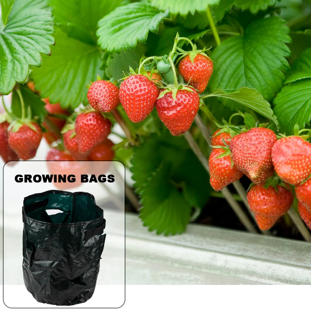 10 Gallons Strawberry Planting Growing Bag Multi-mouth Container Bags Grow Planter Pouch Root Bonsai Plant Pot Garden Supplies A
10 Gallons Strawberry Planting Growing Bag Multi-mouth Container Bags Grow Planter Pouch Root Bonsai Plant Pot Garden Supplies A