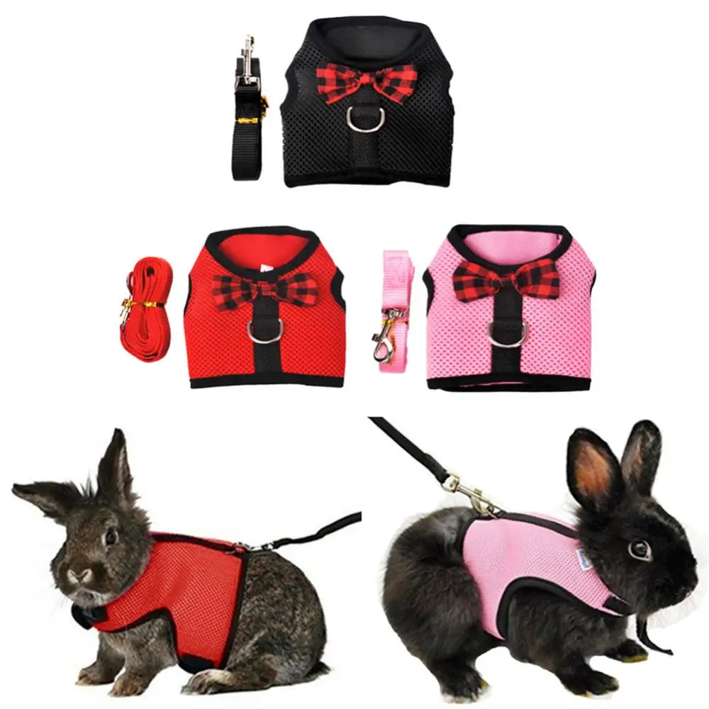 Small Pet Pet Harness Rabbit Guinea Pig Squirrel Leash Vest-style Breathable Mesh Cloth Chest Straps Pet Supplies
Small Pet Pet Harness Rabbit Guinea Pig Squirrel Leash Vest-style Breathable Mesh Cloth Chest Straps Pet Supplies