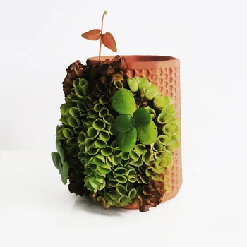 European Style Cute Fleshy Flowerpot Vase Home Garden Mini Bonsai Cactus Flower Pot for Home Decor
European Style Cute Fleshy Flowerpot Vase Home Garden Mini Bonsai Cactus Flower Pot for Home Decor