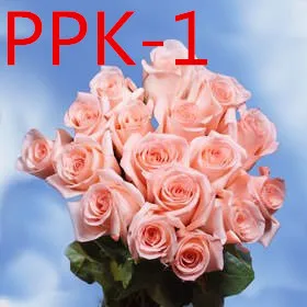 Apparel Accessories / Garment Accessories & Textiles / Mesh Garment Fabric PPK
Apparel Accessories / Garment Accessories & Textiles / Mesh Garment Fabric PPK