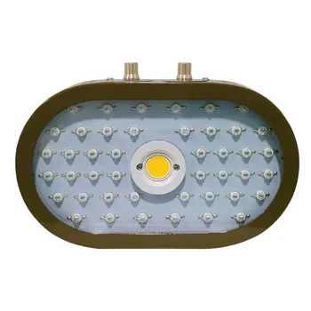 Plants LED Grow Light Full Spectrum 1000W Double Chip Red/Blue/UV/IR Ellipse Light For Indoor Plants VEG BLOOM
Plants LED Grow Light Full Spectrum 1000W Double Chip Red/Blue/UV/IR Ellipse Light For Indoor Plants VEG BLOOM