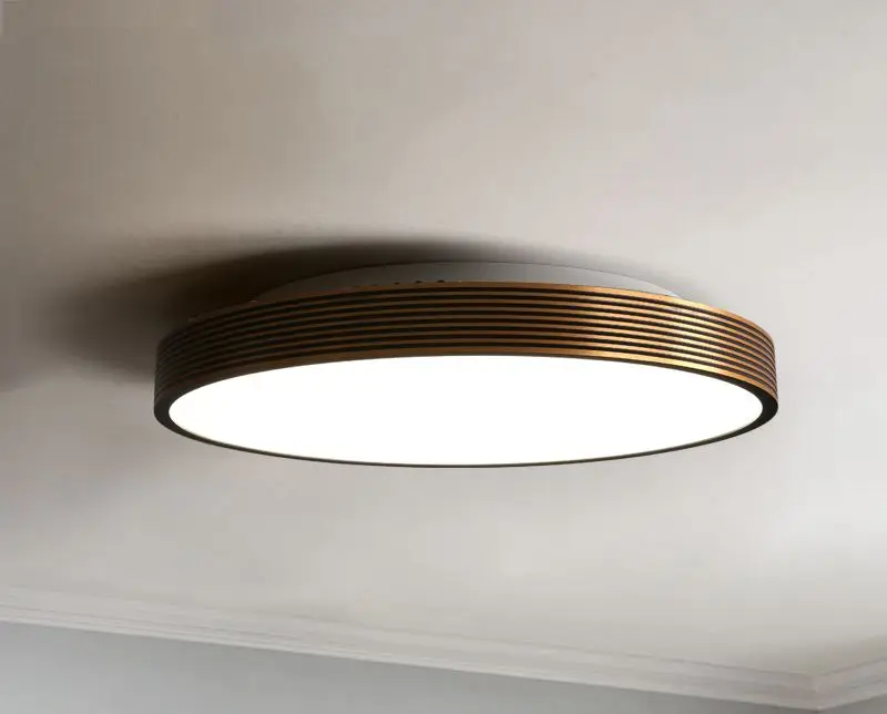 Nordic bedroom ultra-thin led ceiling lamp simple modern hall living room aisle kitchen lamp
Nordic bedroom ultra-thin led ceiling lamp simple modern hall living room aisle kitchen lamp