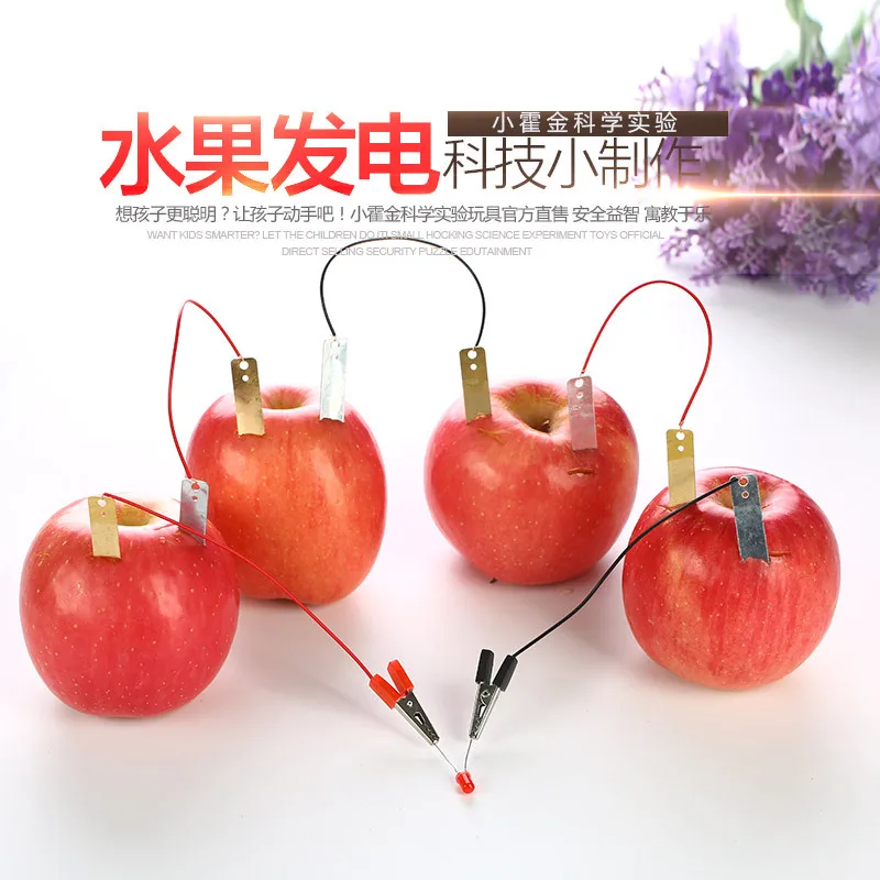 Fruit Battery Children Material China Science Publishing & Media Ltd.(cspm) DIY Potato for Making Experimental Science And Techn
Fruit Battery Children Material China Science Publishing & Media Ltd.(cspm) DIY Potato for Making Experimental Science And Techn