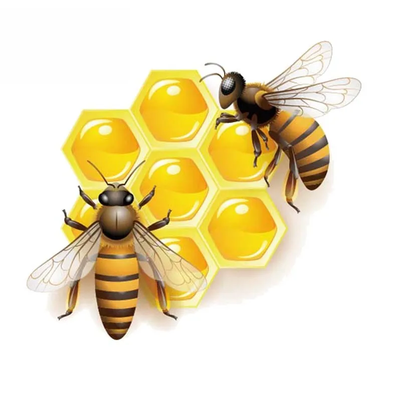 

Creative DecalsBees That Eat Honey PVC Car Sticker Waterproof Cover Scratch Decal Reflective Stickers,15cm*13cm
