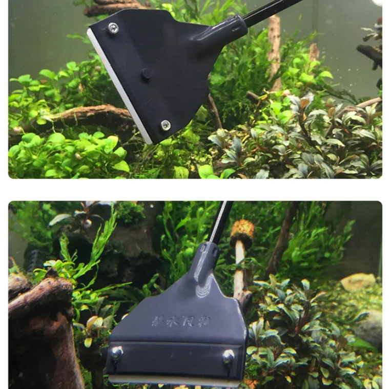 Aquarium Fish Tank Algae Scraper Fish Tank Aquatic Plants Water Algae Scraper Shaving Blade Grass Cleaner Kit
Aquarium Fish Tank Algae Scraper Fish Tank Aquatic Plants Water Algae Scraper Shaving Blade Grass Cleaner Kit