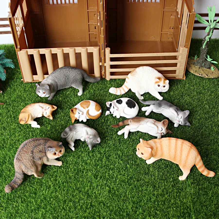 cat2