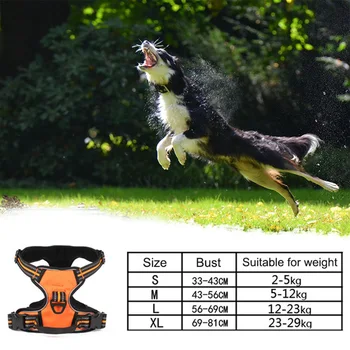 Dog Harness No-Pull Vest Harnesses Reflective For Training With Handle Adjustable Durable
Dog Harness No-Pull Vest Harnesses Reflective For Training With Handle Adjustable Durable