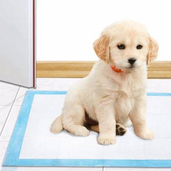 50/100pcs Dog Training Pee Pads Super Absorbent Pet Diaper Disposable Healthy Clean Nappy Mat for Pets Dairy Diaper Supplies
50/100pcs Dog Training Pee Pads Super Absorbent Pet Diaper Disposable Healthy Clean Nappy Mat for Pets Dairy Diaper Supplies
