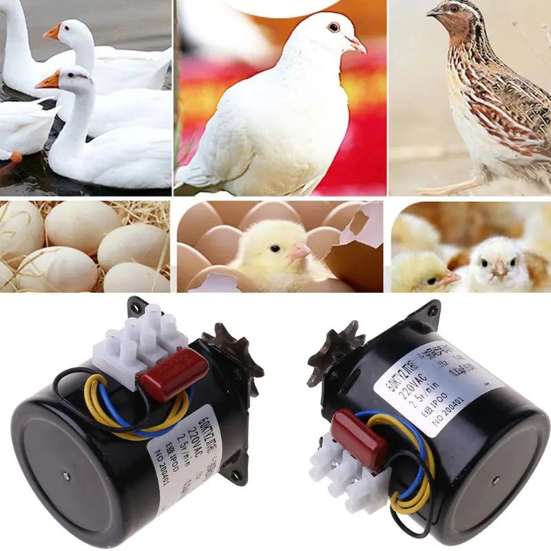 220V AC Eggs Turner Motor Incubator Engine Reversible Geared Components 2.5r/min
220V AC Eggs Turner Motor Incubator Engine Reversible Geared Components 2.5r/min