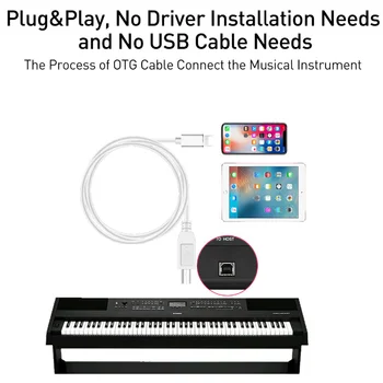 OTG Cable for IPhone To MIDI USB Type B Instrument Keyboard Adapter for IPhone X XS MAX XR 8 7 6 Electric Piano Audio Connector
OTG Cable for IPhone To MIDI USB Type B Instrument Keyboard Adapter for IPhone X XS MAX XR 8 7 6 Electric Piano Audio Connector