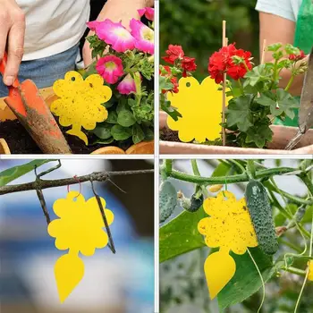 12pcs Fruit Fly Sticky Trap Disposable Bug Gnat Glue Traps Insect Catcher Pest Control For Mosquitos Fungus Gnats Flying Insect
12pcs Fruit Fly Sticky Trap Disposable Bug Gnat Glue Traps Insect Catcher Pest Control For Mosquitos Fungus Gnats Flying Insect