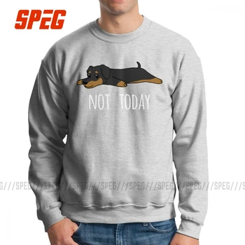Funny Not Today Dachshund Dog Sweatshirt Men's Casual 100% Cotton Crewneck Pullovers Birthday Present Hoodie for Male
Funny Not Today Dachshund Dog Sweatshirt Men's Casual 100% Cotton Crewneck Pullovers Birthday Present Hoodie for Male