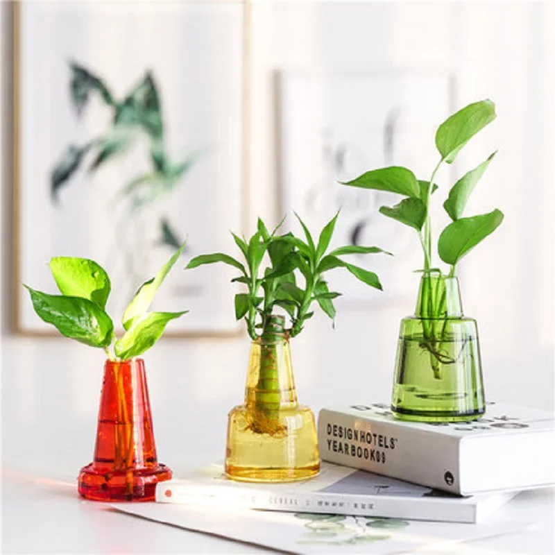 Glass Vase Decoration Modern Simple Living Room Transparent Hydroponic Vase Northern European Table Creative Home Decoration
Glass Vase Decoration Modern Simple Living Room Transparent Hydroponic Vase Northern European Table Creative Home Decoration