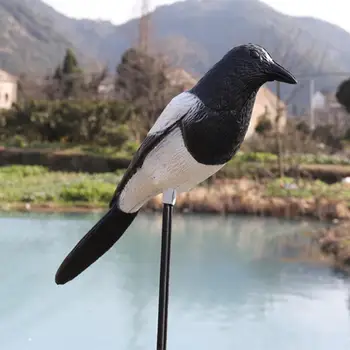 Hunting Accessories Outdoor Hunting Bait Garden Decoration Simulation Magpies Realistic Hunting Bait Tools Decorative
Hunting Accessories Outdoor Hunting Bait Garden Decoration Simulation Magpies Realistic Hunting Bait Tools Decorative