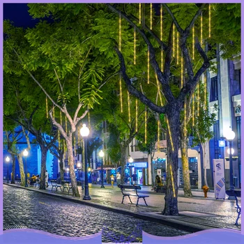 Holiday Lighting 3M 10Tubes 60LED Meteor Shower Rain Lights Drop/Icicle Snow Falling Raindrop Cascading Light Horse-Running Lamp
Holiday Lighting 3M 10Tubes 60LED Meteor Shower Rain Lights Drop/Icicle Snow Falling Raindrop Cascading Light Horse-Running Lamp